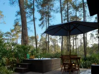 ボボキャビンチコレ サリ アテル温泉周辺のホテル