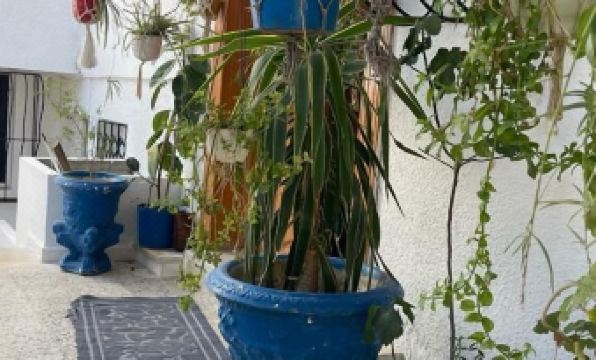 Casa Zitouna- Guest House - Kef, Tunisia