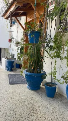 Casa Zitouna- Guest House - Kef, Tunisia Hoteles en 