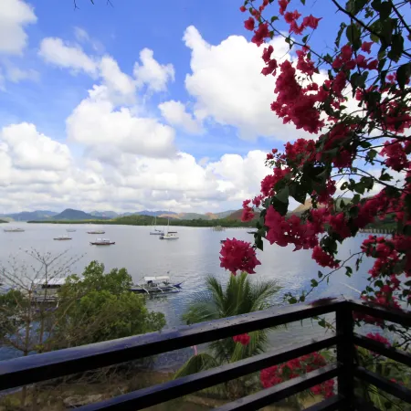 Discovery Island Resort