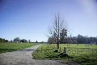Coldstream Estate - the Whare Hotels in Coldstream
