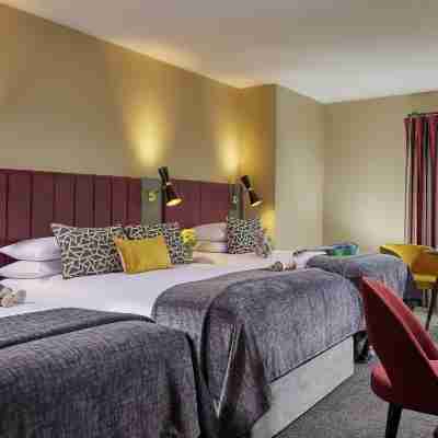 Shannon Springs Hotel Rooms