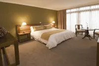 Almasur Punta Arenas Hotels near Parque Maria Behety