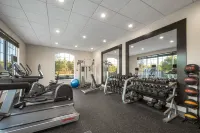 Holiday Inn Express & Suites AIKEN by IHG - Gym