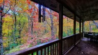 Peaceful Treetop Getaway Near Blue Ridge & Ellijay
