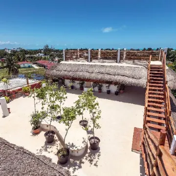 La Palma Holbox