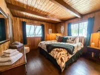 Mountain Top Chalet ~ A/C & Close to Rec Trails!