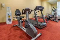 Quality Inn & Suites Lenexa Kansas City - Gym