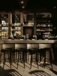 Boutique & Design Hotel Volkshaus Basel - Baarit