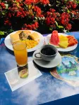 Brillasol Airport Hotel
