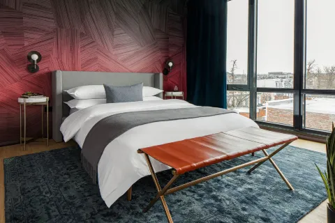 Black Swan - Liz DC - Executive Flat