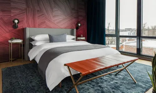 Black Swan - Liz DC - Executive Flat
