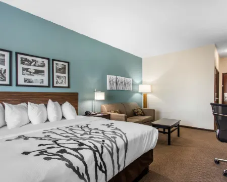 Sleep Inn Big Spring North I-20 Hoteles en Big Spring