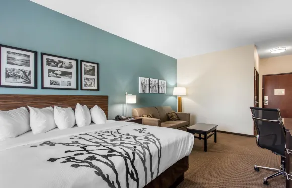 Sleep 旅館 大斯普林北 I-20