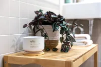 The Banq Apartments by Urban Rest