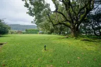 Ferncliff Bungalow