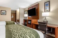 Comfort Inn & Suites Dimondale - Lansing Hotels in Eaton County