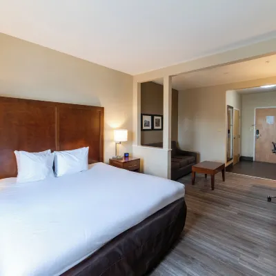 Sonesta Essential - Baton Rouge Airport Hotels near Monte Sano Park