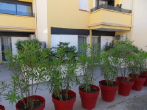 The Originals City, Hotel Cap Maya, Palais des Congrès Hotels in Agde