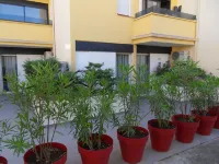 The Originals City, Hotel Cap Maya, Palais des Congrès