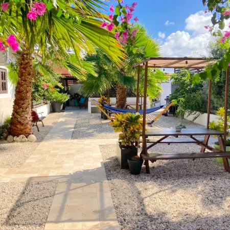 Aruba Lagunita