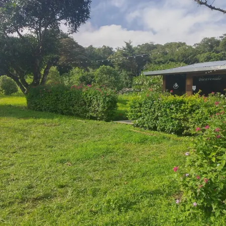 The Green Tree Lodge