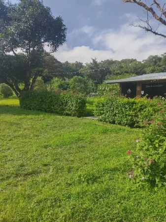 The Green Tree Lodge