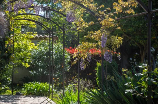 米蘇戈酒店 鄰近Grotte de la Chèvre d’Or的酒店