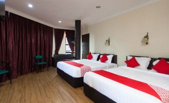 OYO 43915 T P Hotel