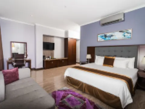 Hotel City Plaza & Suites Hoteles en David