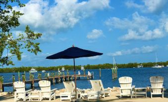 Coconut Palm Inn