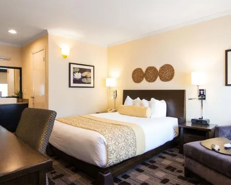 The Zen Hotel Palo Alto Hotels in Palo Alto