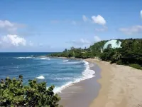 Casa Verde Hotel - Steps to the Beach, Pool, Restaurant & Bar - Beach