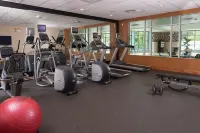 Hilton Garden Inn Atlanta Airport/Millennium Center - Phòng Gym
