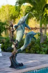 Dolphin Cove - Kolam Renang