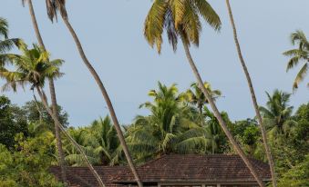 Cranganor History Café & Riverside Château