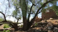 Karoo-Koppie Guesthouse