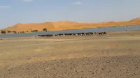 Morocco Deluxe Camp - Assif n'Itrane - Airport Shuttle