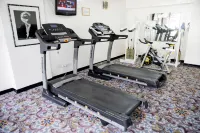 Sunbird Capital - Gym