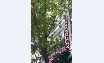 Hotel Abro Necatibey