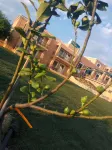 Finiki Plaza Hotels in Dimos Pylos-Nestoras
