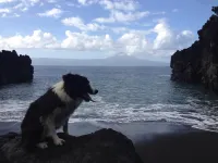 메이크 잇 해픈 팜