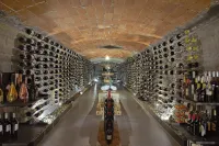 維斯塔貝拉酒店 - 酒吧