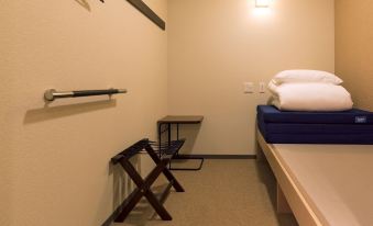 Wild Cherry Blossom-Hostel,Tokyo Koganei-