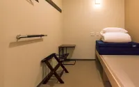 Wild Cherry Blossom-Hostel,Tokyo Koganei-