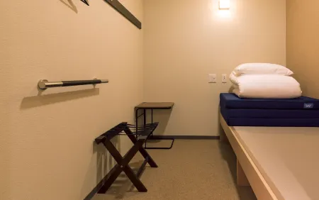Wild Cherry Blossom-Hostel,Tokyo Koganei-