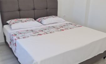 Luxury Apartment Ani II