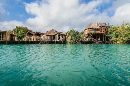 Embajada Universal by la Eufemia Group