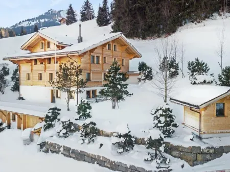 Beautiful Modern Chalet in the Gstaad Region