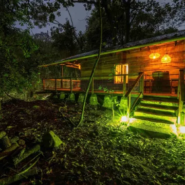 Matumi Trail Forest Lodges - Matumi and Mitzeeri